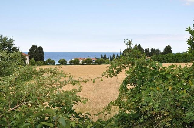 Bungalow Leo Savudrija Luaran gambar